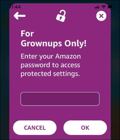 How to Set Up Amazon Kids+ - TheFastCode